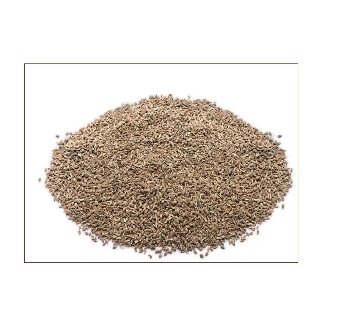 Anise