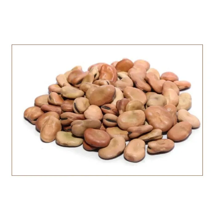Broad Beans