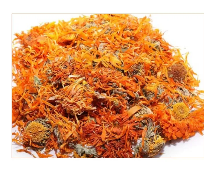 Calendula
