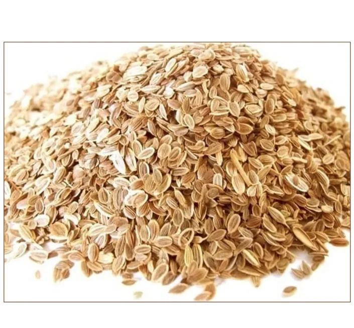 Dill Seeds