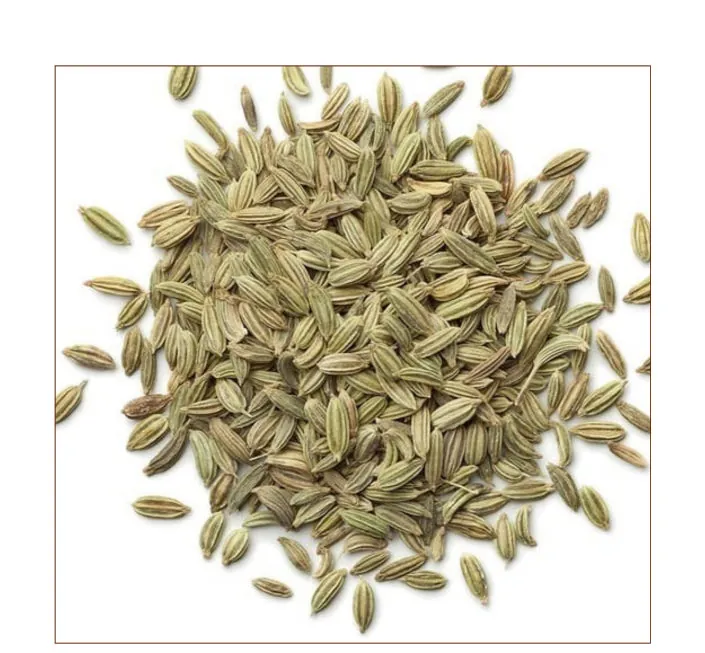 Fennel