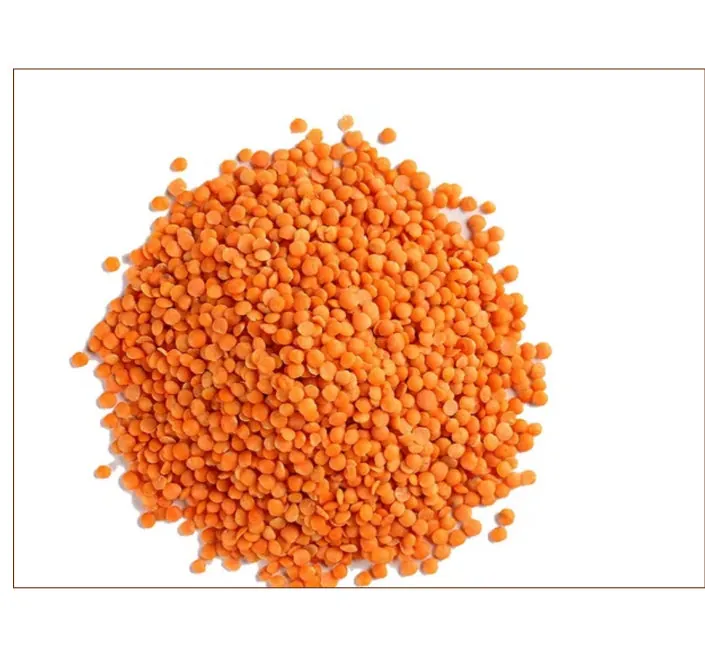 Lentils