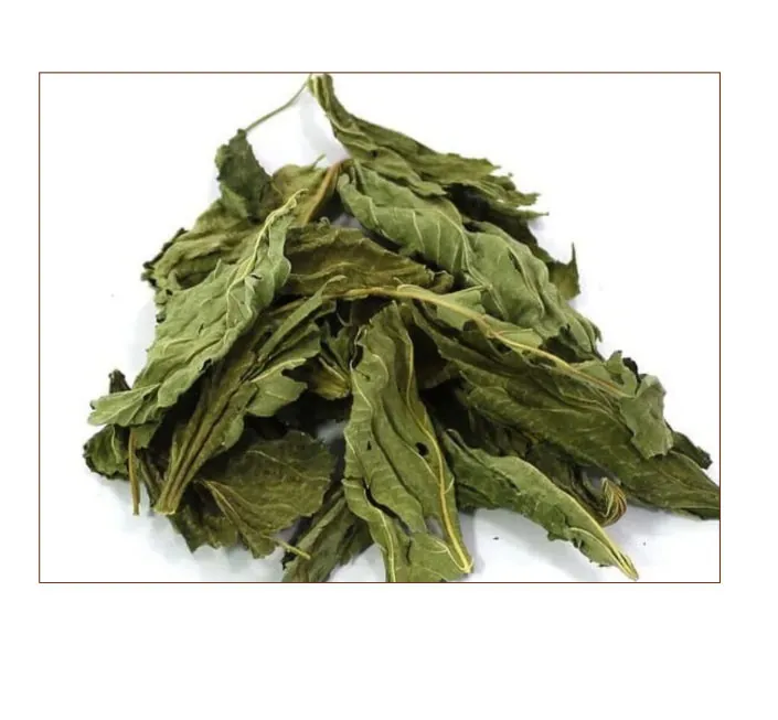 Molokhia