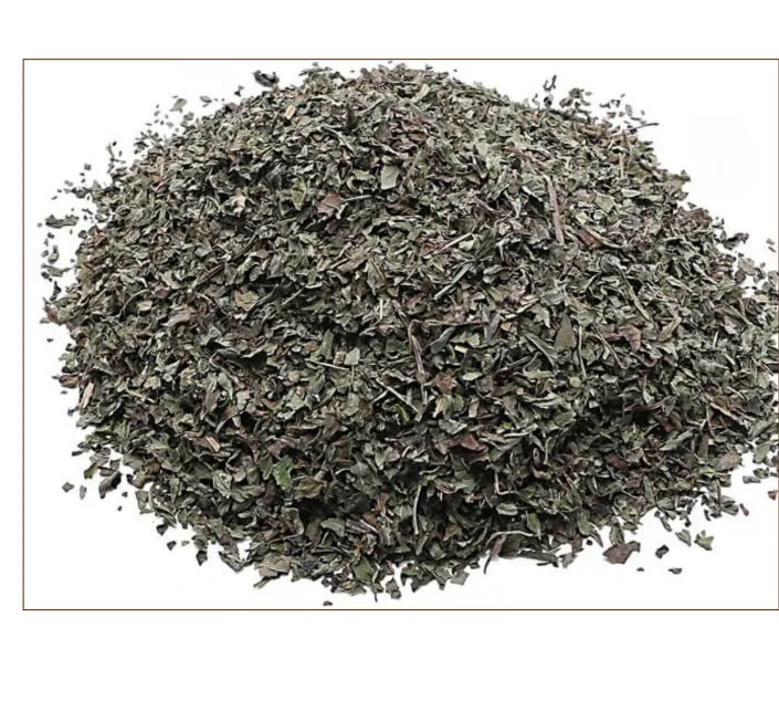 Spearmint